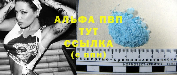 СК Волосово