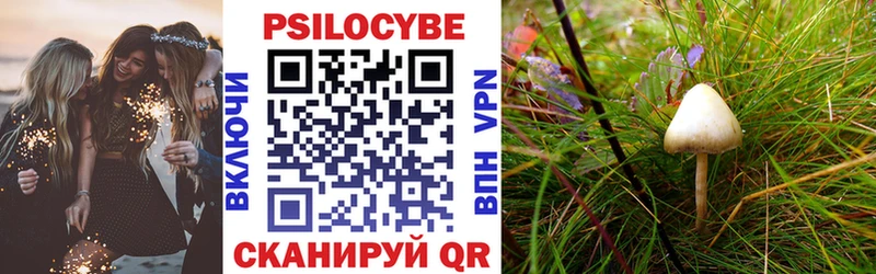 Галлюциногенные грибы Psilocybine cubensis  Дагестанские Огни 